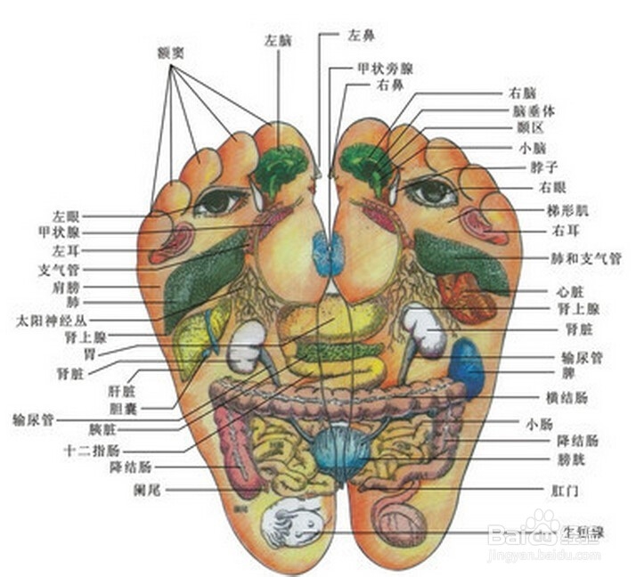如何按摩脚底穴位呢?