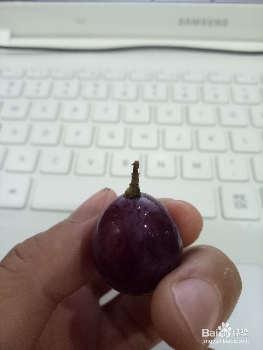 葡萄应该怎么清洗？