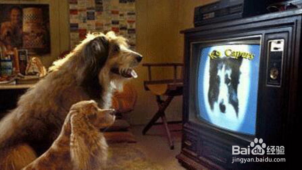 LED/LCD液晶电视机维修经验