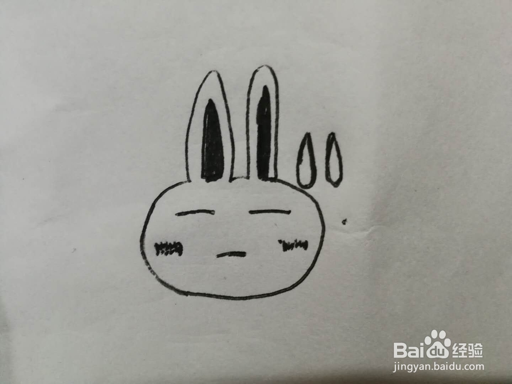 简笔画无奈的兔子