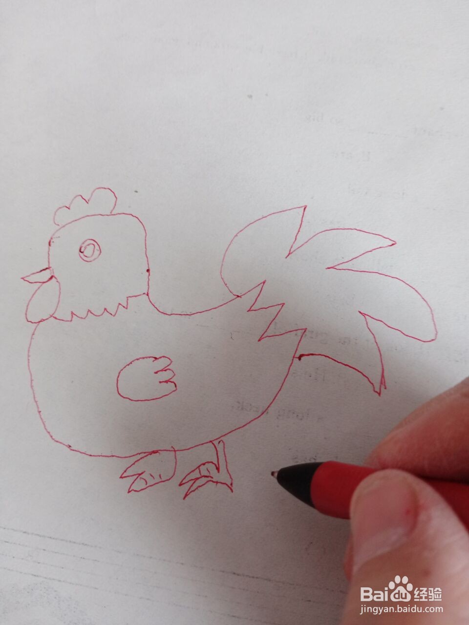 大公鸡的简笔画