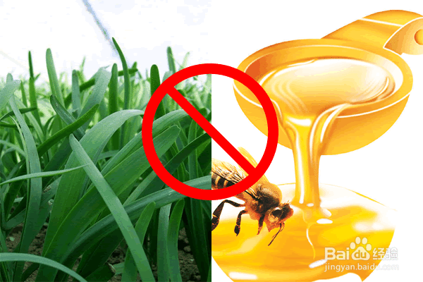 食用蜂蜜应注意的几件小事