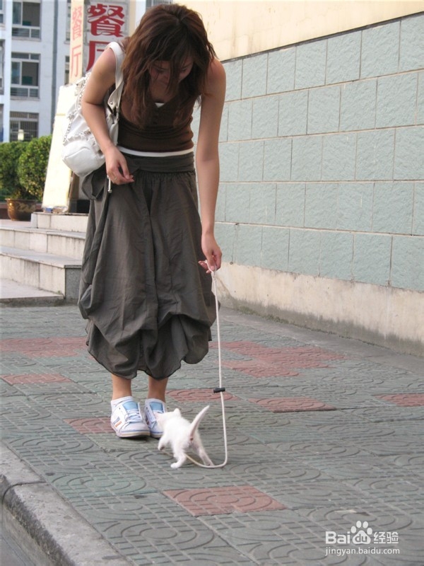 女生拍照如何拍出文艺范儿\小清新范儿