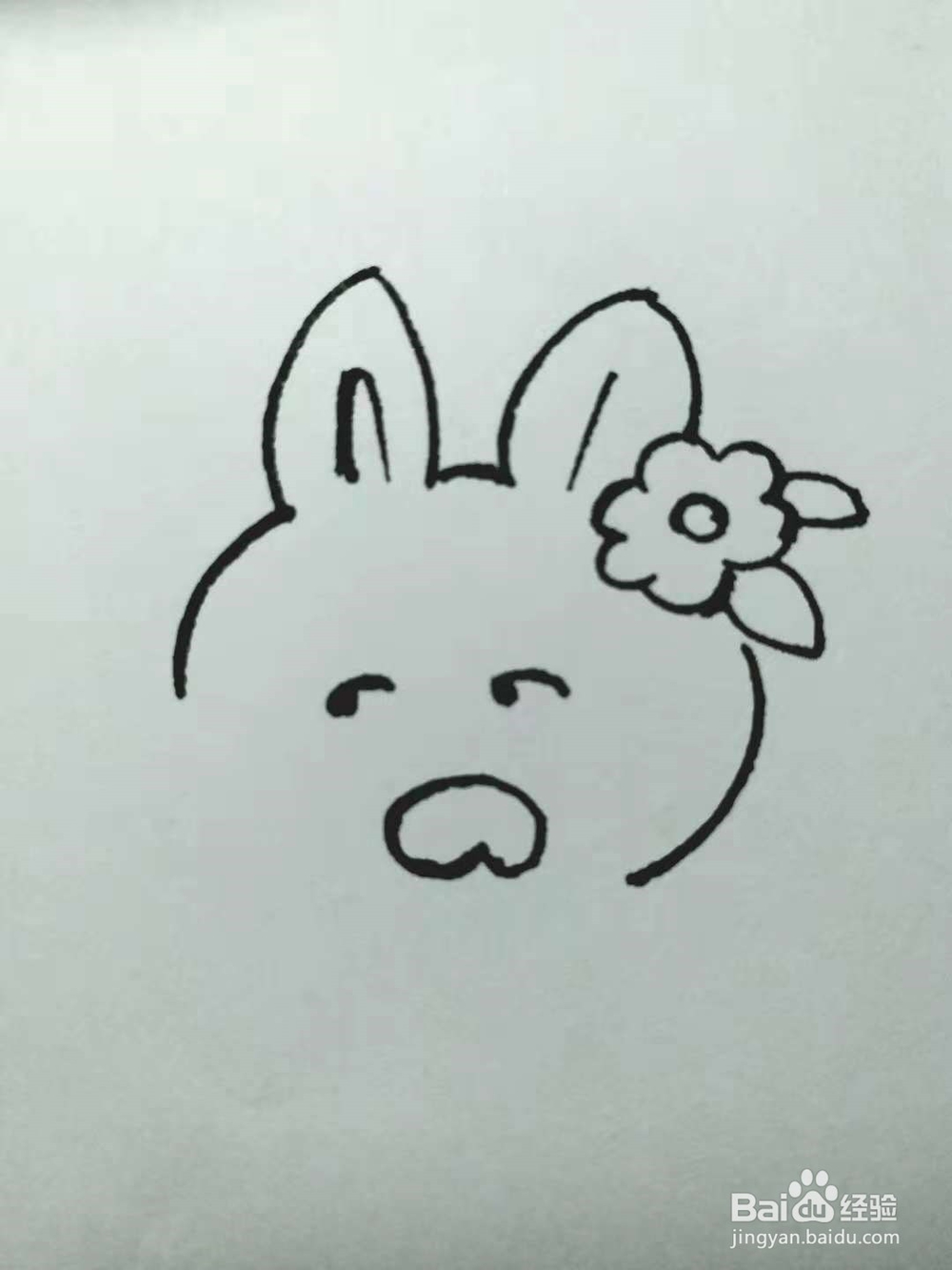 卡通兔的简笔画法《七》