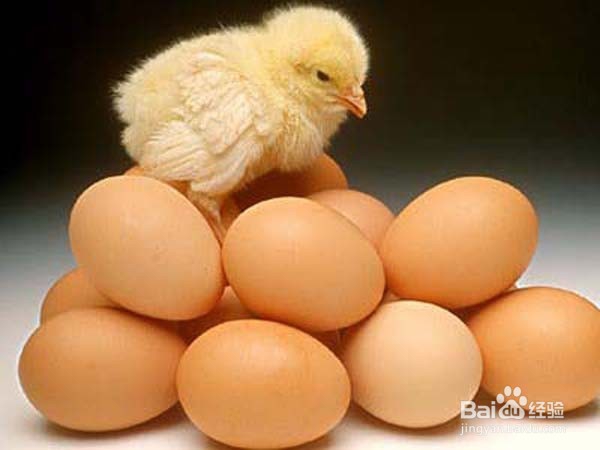 <b>如何挑选、保存鸡蛋</b>