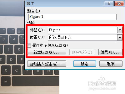 Word中插入图片设置图片下标题怎么做