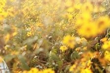 你不得不知的生活小常识048