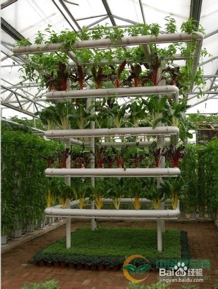 阳台种菜之管道式蔬菜栽培器