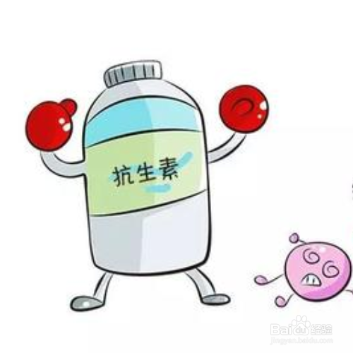 抗生素吃多了怎么补救