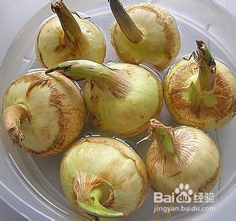 孕妇不能吃哪些食物呢？