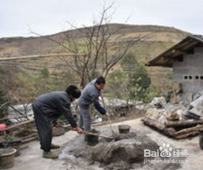 猪从猪圈里跑出该怎么办