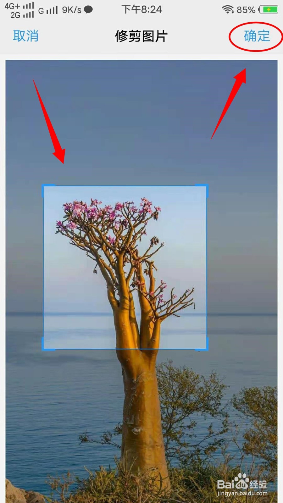 美团怎样设置头像