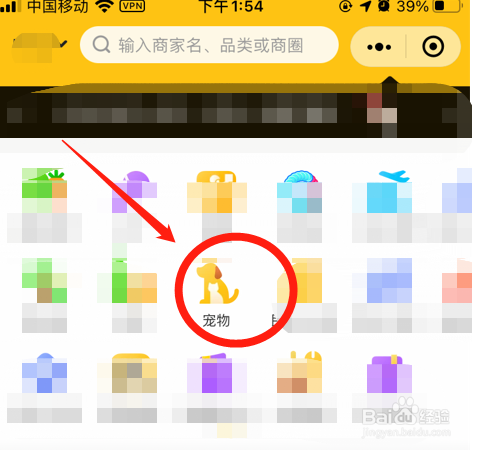 小狗耳朵里有黑褐色的东西怎么办