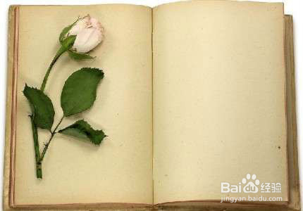 你还这么背英语吗