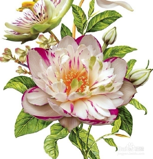 WIN10系统使用技巧之昵图网怎么下载图片