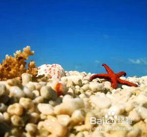 西沙群岛哪些地方是一定要打卡的呢?