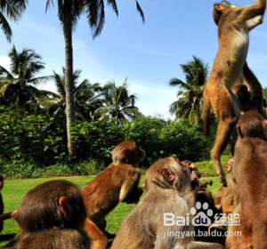 如何去海南打卡到好玩的旅游胜地？