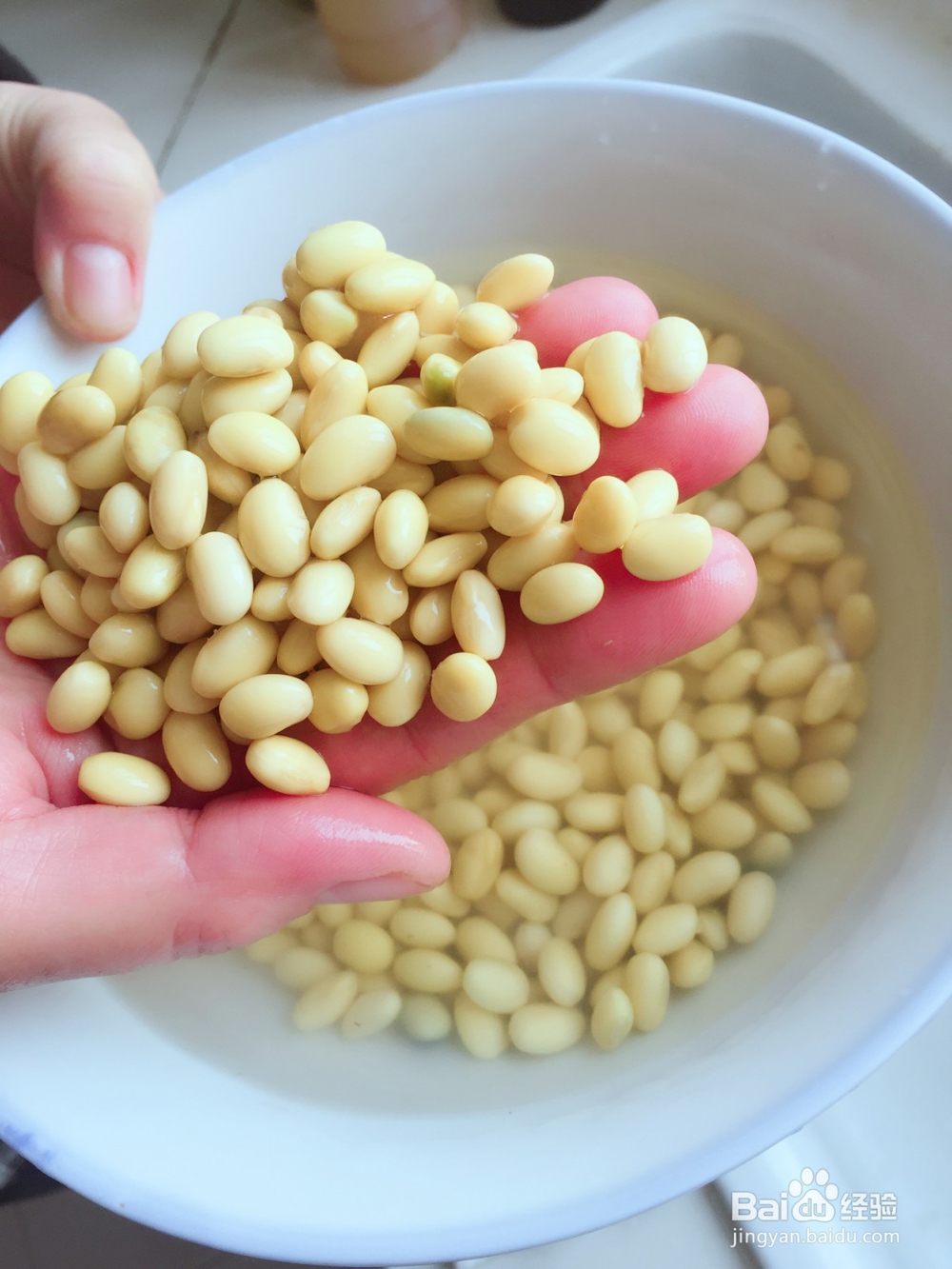 怎样生黄豆芽？