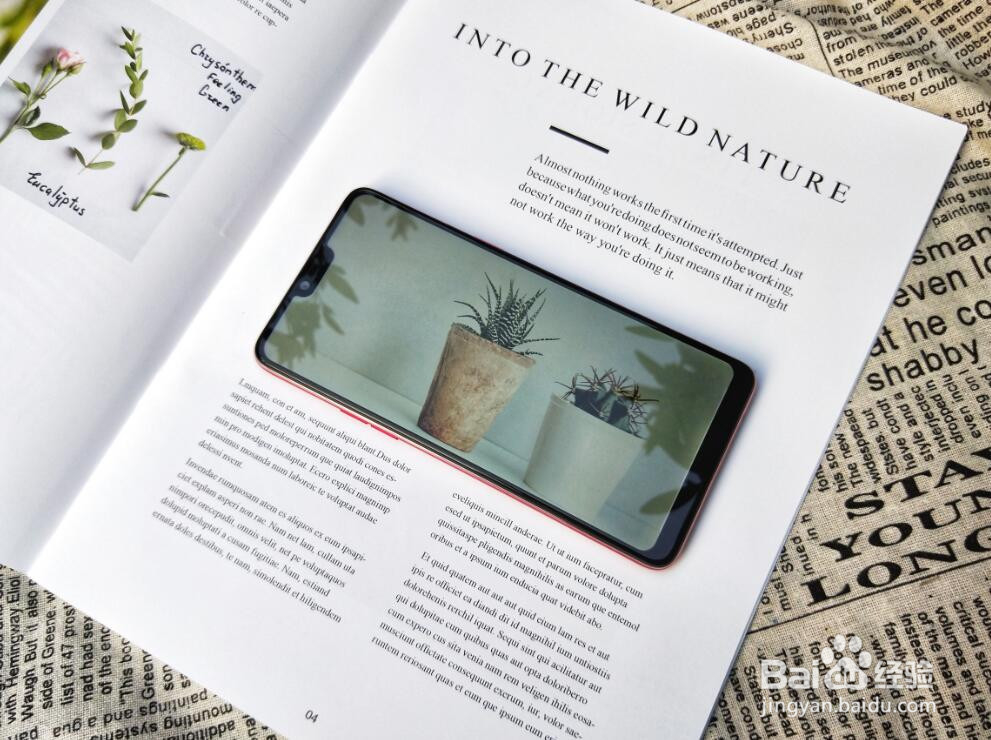 OPPO最新款手机有哪些