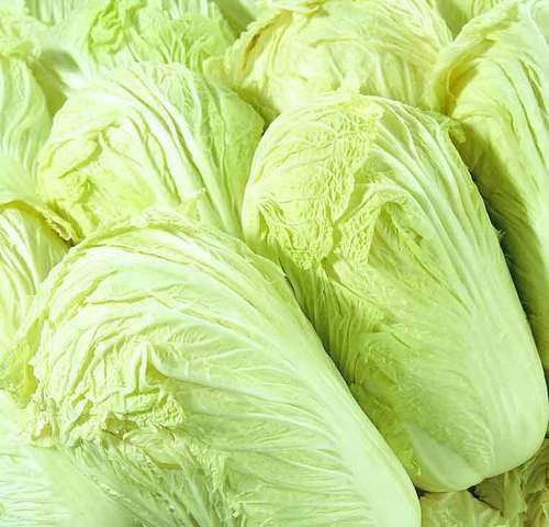 蔬菜保鲜的放置方法