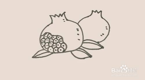 "番石榴"怎么画?