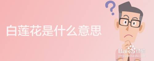 白莲花是什么意思 百度经验 白莲花是什么意思 百度经验