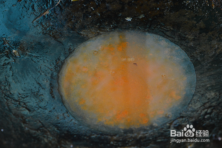 教你怎么做靠大虾