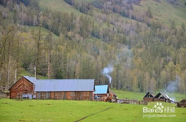 喀纳斯旅游攻略