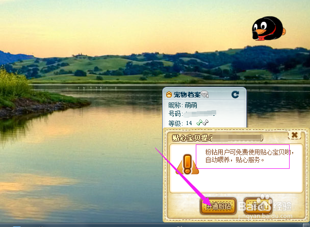 Q宠如何开启贴心宝贝？