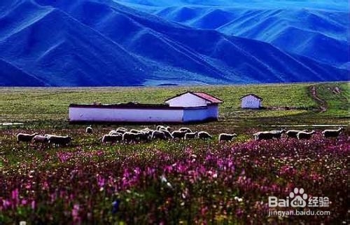 成都到阿坝3天旅游攻略