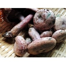 精准扶贫农家欢喜村民快乐记实