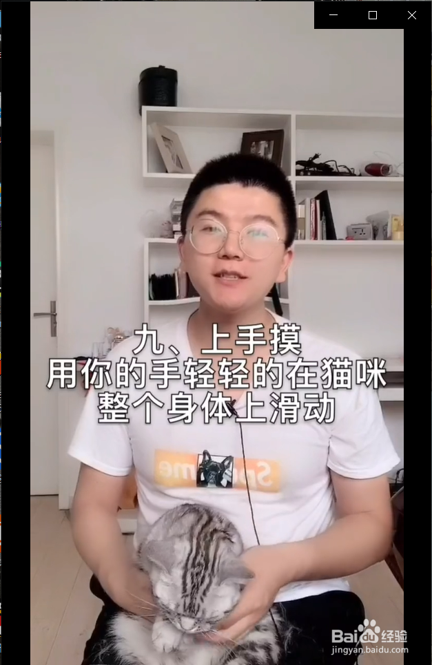 怎么在家给猫咪做体检