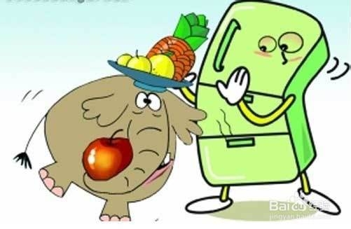 如何把大象装冰箱