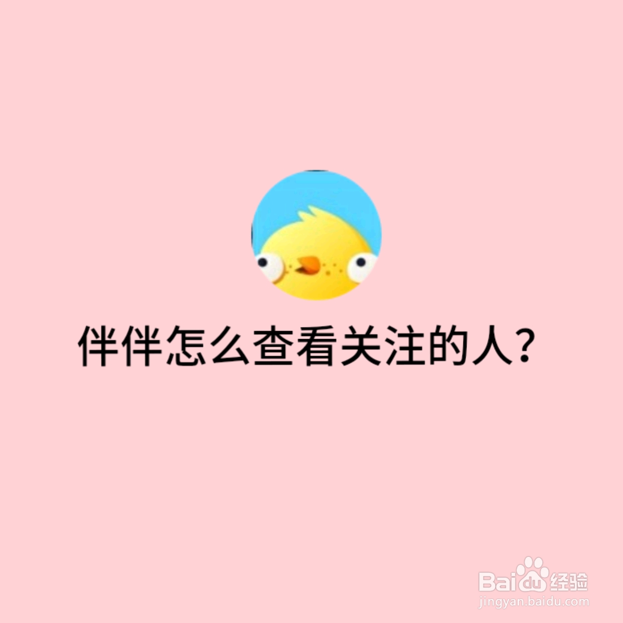 伴伴上怎么查看关注的人