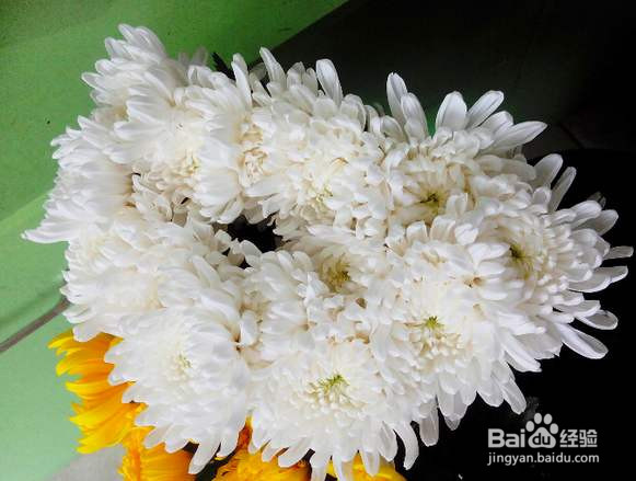 在清明节这个节日里，我们都有哪些习俗？