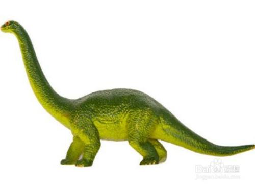 梁龙吃什么食物呢