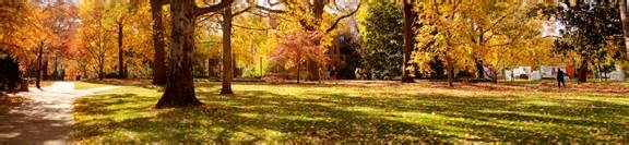 学院街攻略：[12]范德堡大学其他生活攻略