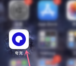 夸克浏览器怎么设置手势?