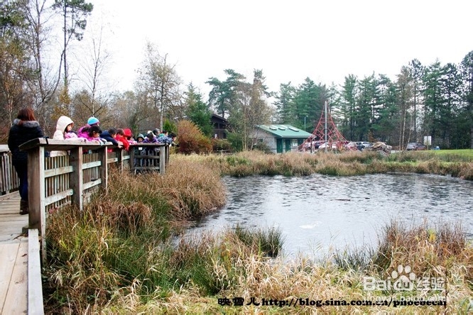 温哥华小学生郊游学什么