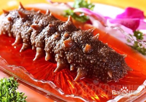 海参对子宫的作用