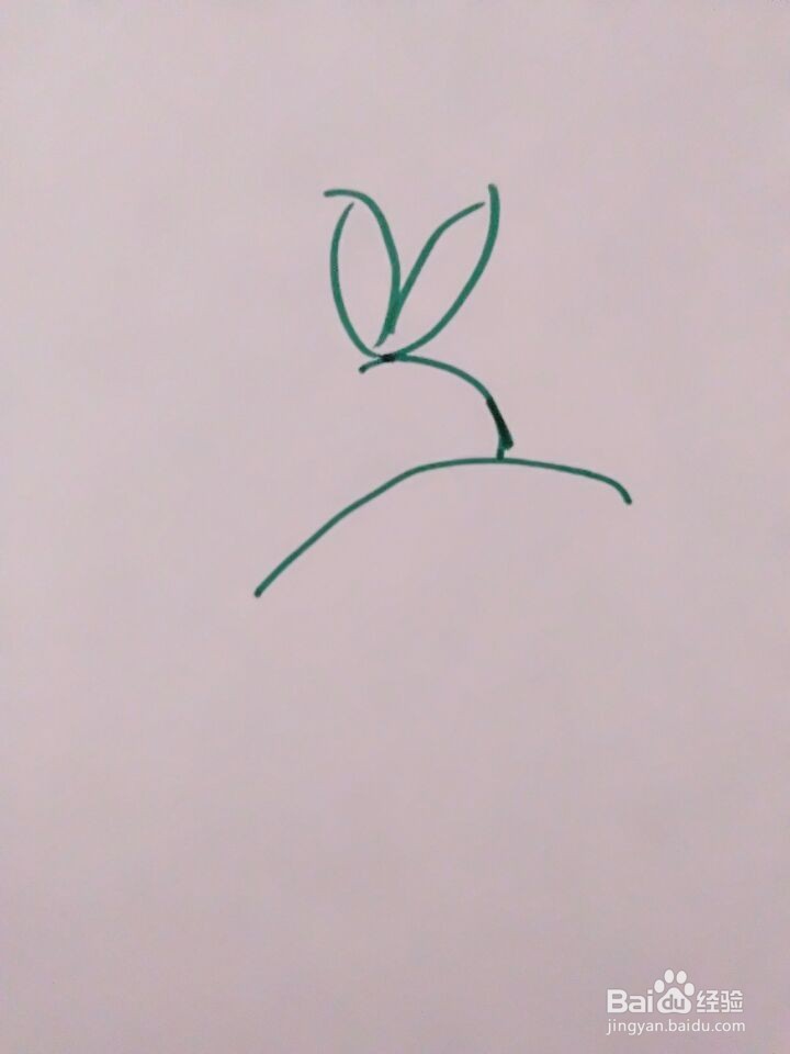 简笔画可爱的老鼠