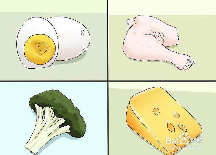 如何喂养宠物鼠