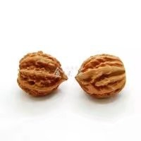 补肾妙招一吃就行