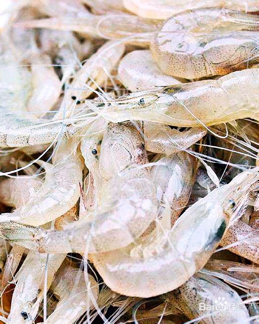 海鲜美食-小海虾饼的做法