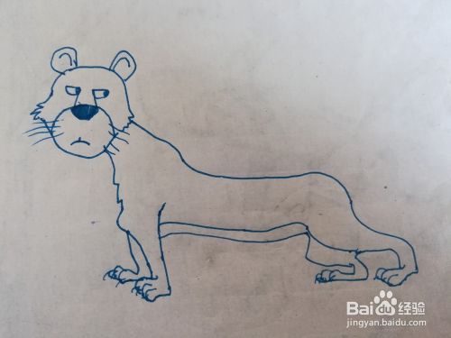 怎么画美洲豹的卡通简笔画 百度经验