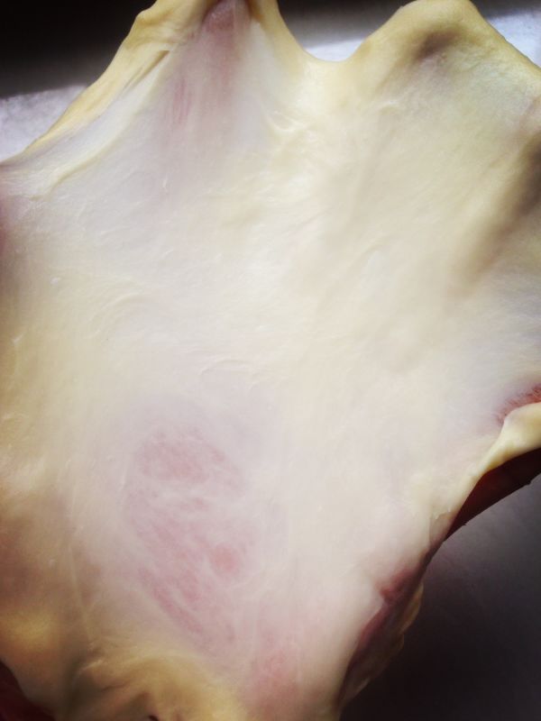 豆沙牛奶小面包