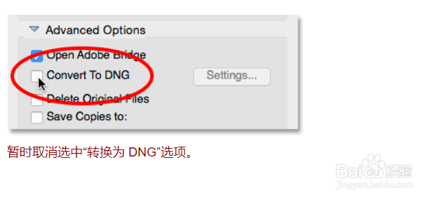 Adobe Bridge重命名文件和高级选项