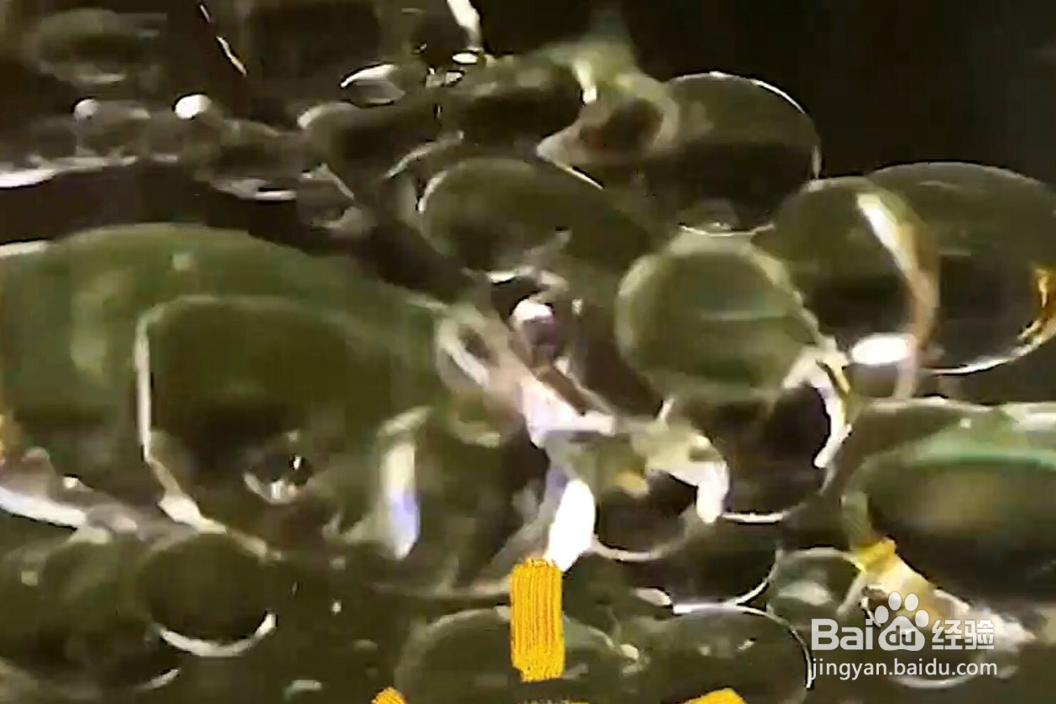 如何简单拍出创意照片