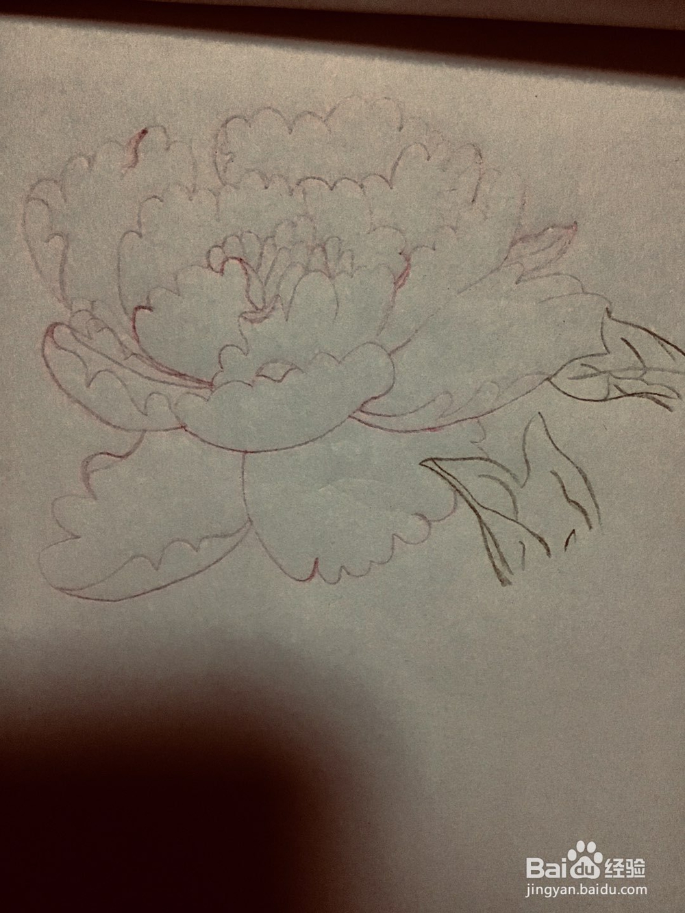 姐姐手绘的牡丹花