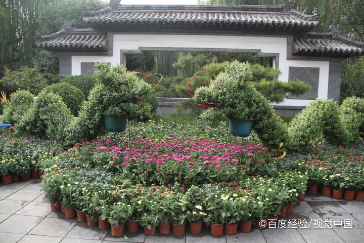 济南融创茂里面有什么好玩的